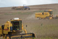 Seca e calor reduzem estimativa da produção de grãos no Paraná