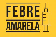 Morte de macaco por febre amarela é confirmada em Castro