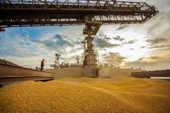 Exportações de milho já superam todo o ano de 2018 