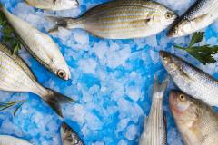 Cuidados para conservar alimentos devem ser redobrados no verão