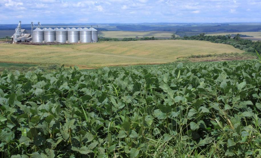 IAP e Crea atuarão juntos na fiscalização ambiental