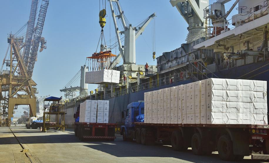 Celulose já é o terceiro produto mais exportado pelo Paraná