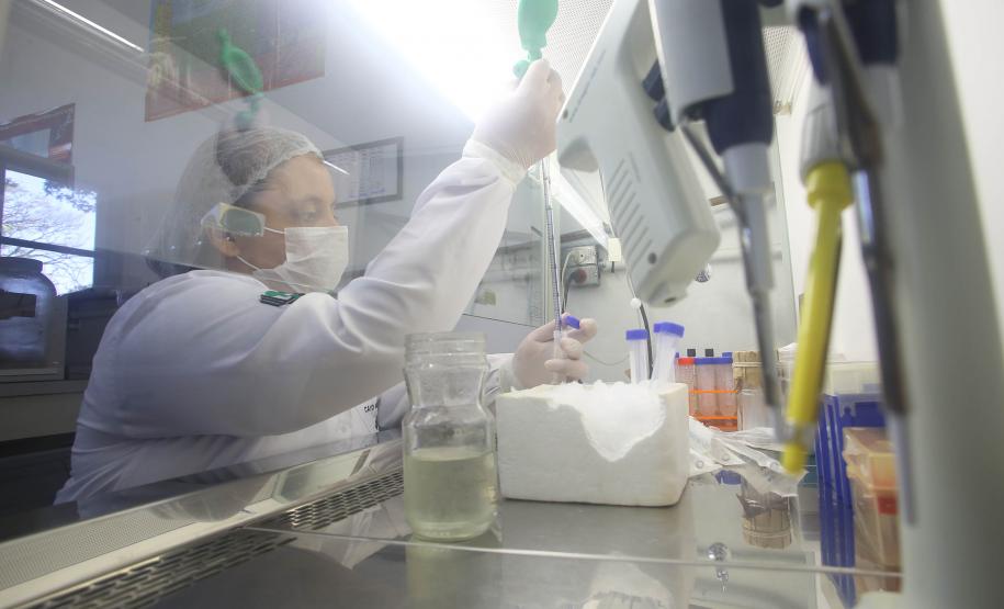 Estaduais colocam Paraná em quinto lugar na produção de pesquisa Estaduais colocam Paraná em quinto lugar na produção de pesquisa