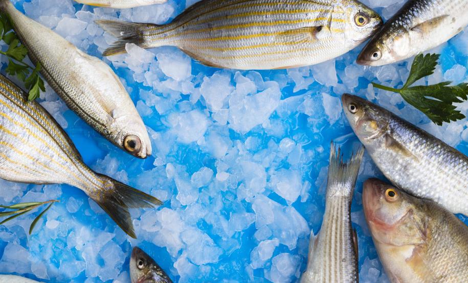 Cuidados para conservar alimentos devem ser redobrados no verão